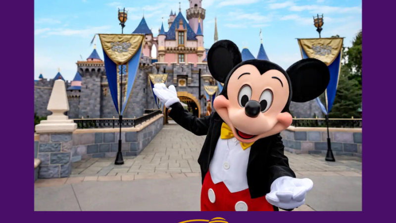 Quantos parques da Disney existem?