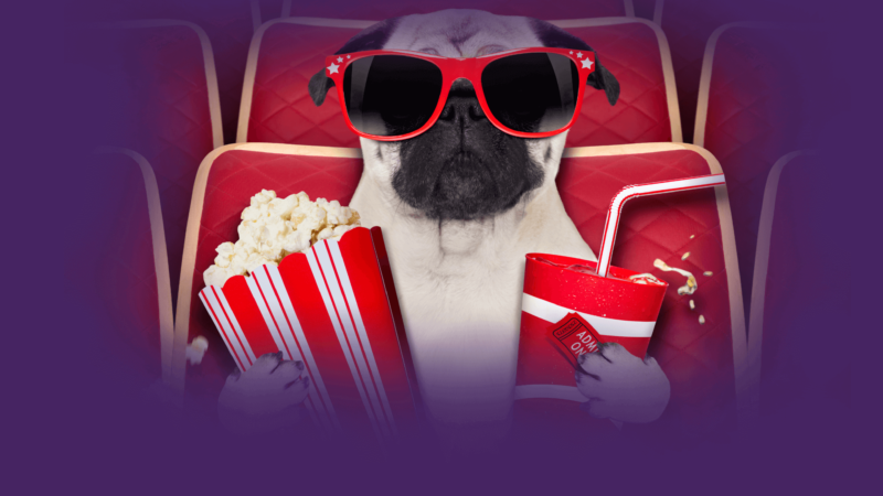 11 Filmes para assistir antes de ir para Disney