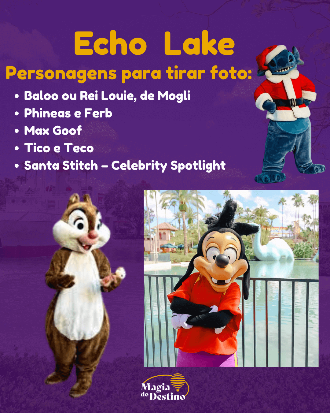 Festa Jollywood Nights 