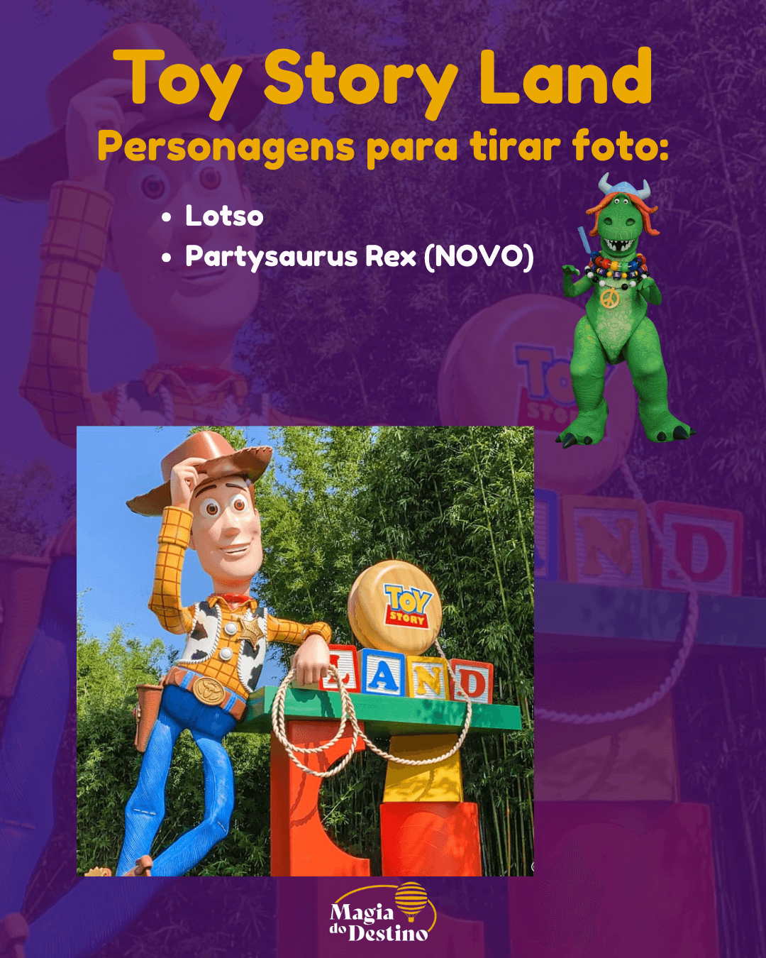 Festa Jollywood Nights 