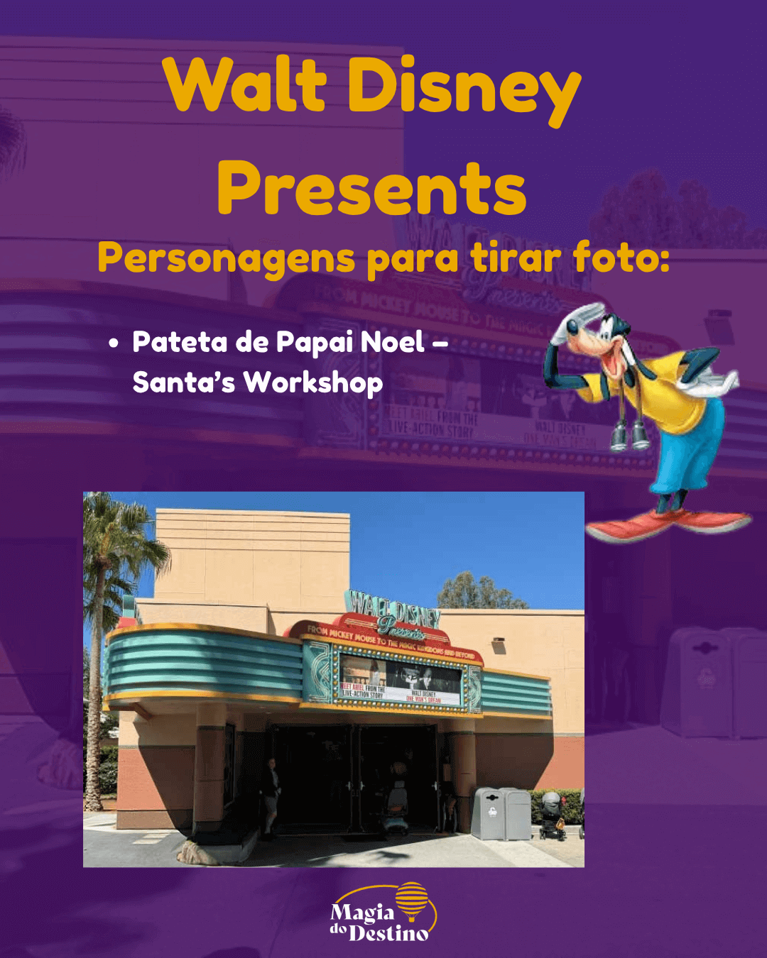 Festa Jollywood Nights 